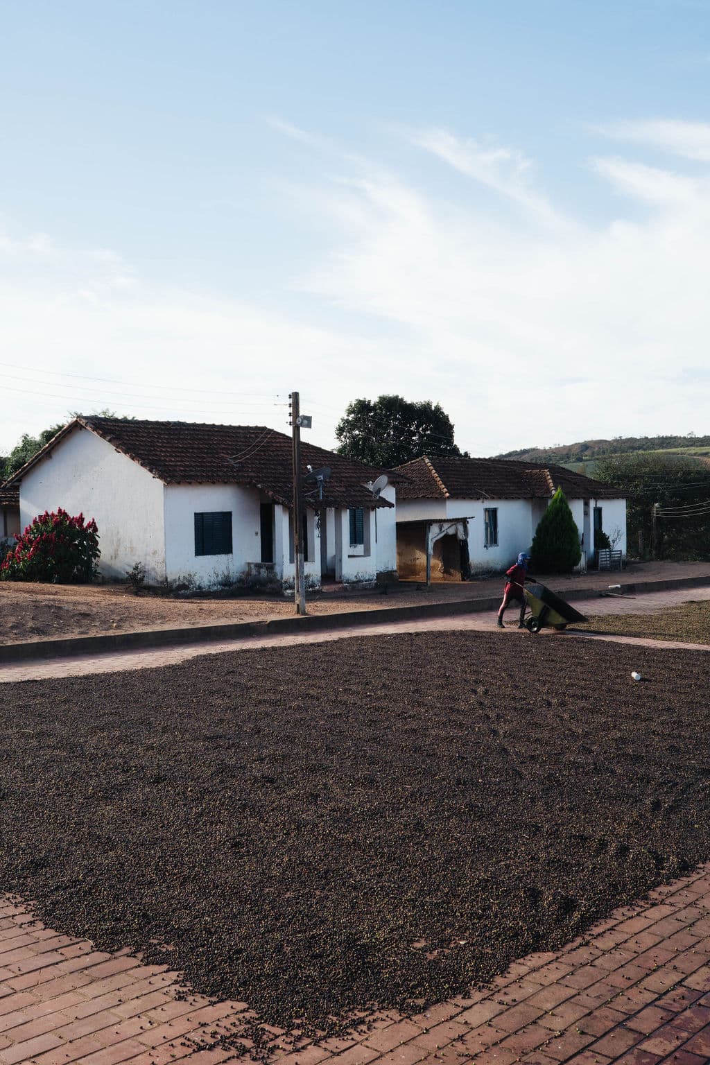Trocknung der Kaffeekirschen vor dem Farmhaus